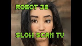 0051 Toonify SSTV Robot36