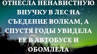 Внучка, оставленная в лесу, вернулась спустя годы: невероятная встреча в автобусе