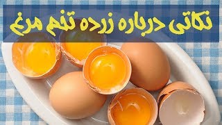 نکاتی آموزنده درباره زرده تخم مرغ