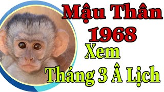 Mậu Thân 1968 Xem Tháng 3 Thận Trọng Với Tính Khí Bốc Đồng Dễ Thiệt Thân