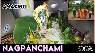 goa ki nagpanchami || nagpanchami celebrated in goa|| गोवा में नाग पंचमी कैसे मनाते है ||