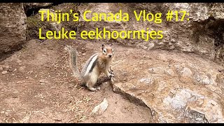 Thijn's Canada Vlog #17: Lange wandeling, eekhoorntjes en een warme bron