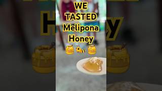 Melipona honey #meliponahoney #cozumel #marineroftheseas #rccl #cruiseexcursion #mayanbeesanctuary