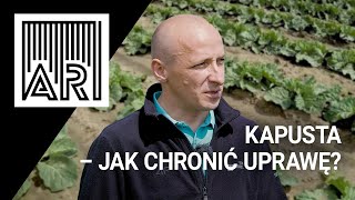 Kapusta – jak chronić uprawę? || AR #155