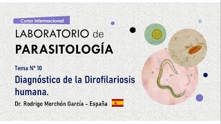 Tema n°10 Diagnóstico de la dirofilariosis