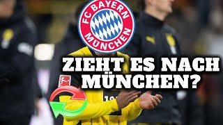 Irres Gerücht sorgt für Wirbel! Schnappt Bayern München beim BVB zu?