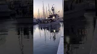 Shogun Sportfishing 8 day Rice Bowl Charter 9-12-21 with Owner-Operator Rene