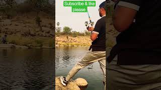 fishing best tilapia fish  😱#shorts