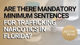 Are There Mandatory Minimum Sentences for Trafficking Narcotics in Florida?