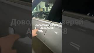 Автомобильные доводчики дверей Ауди А 6 С8