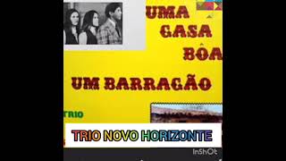 TRIO NOVO HORIZONTE  (UMA CASA BOA ,UM BARRACÃO/LP COMPLETO )