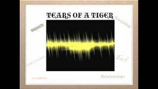 Tears of a Tiger by Sharon Draper-Rhodes J.