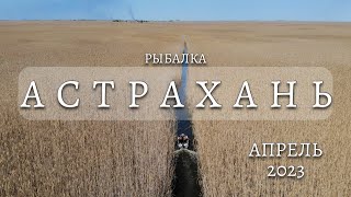 Отдых и рыбалка в АСТРАХАНИ. Заехали в ЗАПОВЕДНИК. ВОБЛА 2023. На рыбалку на Ssangyong REXTON G4.