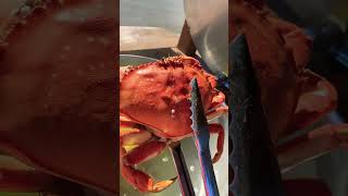 Big Sale on Dungeness Crab Waldport Oregon! #tackleshop #seafoodrecipes #crab #dungenesscrab #love