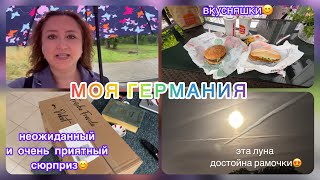 Неожиданная посылочка😊/вредная еда это вкусно😁/кот экстремал🫣/черепашки по почте😢/жизнь в Германии