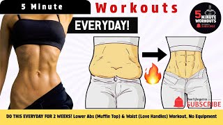 DO THIS EVERYDAY FOR 2 WEEKS! Lower Abs (Muffin Top) & Waist (Love Handles) Workout, No Equipment