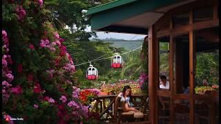 Family Friendly Paradise! 🇵🇭🌺Restaurant with a Zipline Adventure! @insta360 #insta360x4 #Philippines