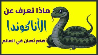 ماذا تعرف عن الأناكوندا 🐉 أضخم ثعبان في العالم