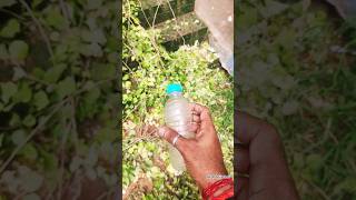 ❗Water Bottle Found In metal Detecting With Simplex Plus #goldtreasure #treasurehunting #shorts