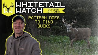 Pattern The Does Now To Find Bucks Later | Whitetail Watch w/ Bill Winke