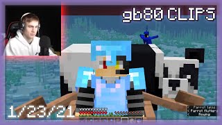 "panda panda panda panda panda GRRAA (80 sings)" | TiredSMP Day 3 - Part 1 | gamerboy80 CLIPS