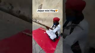 Jaipur mini vlog🧡😇 #jaipurvlog #jaipurcity #amerfortjaipur #hawamahal #jaipurtourism #alberthall