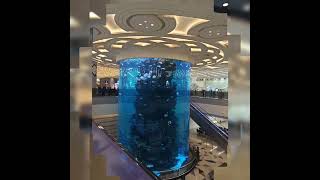 Amazing aqurium at zedda airport.