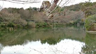 05 Kyoto, Ryōan ji Garden, Rock Garden