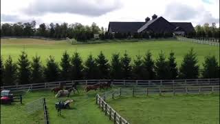 Rotating Back to the Winter Barn