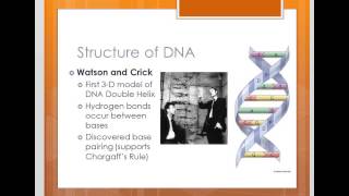 Structure of DNA Part 2