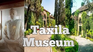 Travel to Taxila Museum | Historical Place of Pakistan | Best Visiting place ♥️ 😍