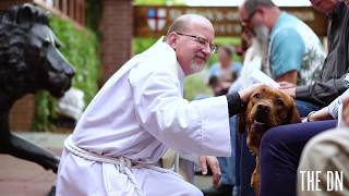 St. Francis Day: Blessings of the Animals