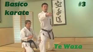 3 - Basico karate Tsuki -  Cadera Avanzar dando tsuki - Te Waza