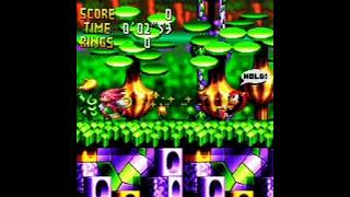 Knuckles Chaotix - Door Into Summer - Slowed + Low Pitched - Extended