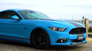 SMURF Mustang -