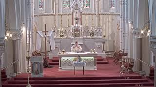 Saturday Morning Mass Saint Athanasius, bishop and doctor (May 2nd). Rathfarnham, Dublin.