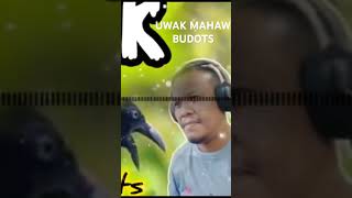 Uwak mahaw budots #remix