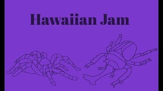 Bug World Production Music: Hawaiian Jam