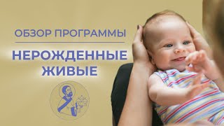 Обзор программы  "Нерожденные Живые"