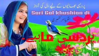 New pahari Hindkho Mahiya|Sari gal khushiandi|Yasir kashmiri