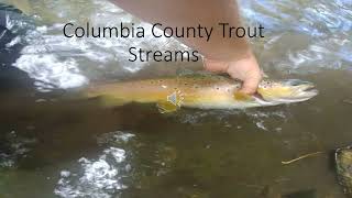 Columbia County Trout Streams