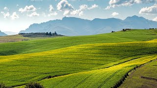 Farmland Cinematic Drone Video | Interactive