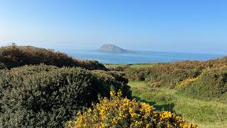 Bardsey Island Wales 🏴󠁧󠁢󠁷󠁬󠁳󠁿- clearing and portal