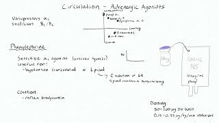 Adrenergic Agonists 2 - Phenylephrine