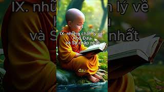 9. những chân lý về Khổ Đau và Sự chấp nhất| Vi Pháp Diệu Âm #trietlycuocsong #loiphatday #chualanh