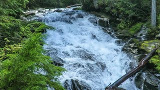 2018-06-11 Wonderland Trail at Mount Rainier from Cougar Rock to Narada Falls