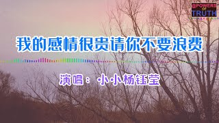 小小杨钰莹 - 我的感情很贵请你不要浪费 (女版)💖【高音質動態歌詞 Pinyin Lyrics]】👍Powers of Truth 【一个人的房间索然无味  一个人的夜晚画面凄美】