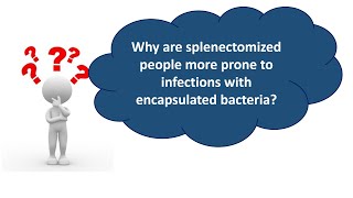 Increased susceptibility of splenectomized to encapsulated bacteria.