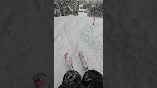 Crazy powder #youtube #snow #skiing #solitude