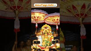 తిరుమలలో పున్నమి గరుడసేవ 🙏 #shorts #devotional #tirumala